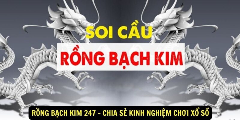 Rồng Bạch Kim 247 Chia Sẻ Kinh Nghiệm Chơi Xổ Số