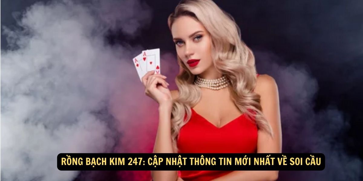 Rong bach kim 247 Cap nhat thong tin moi nhat ve soi cau