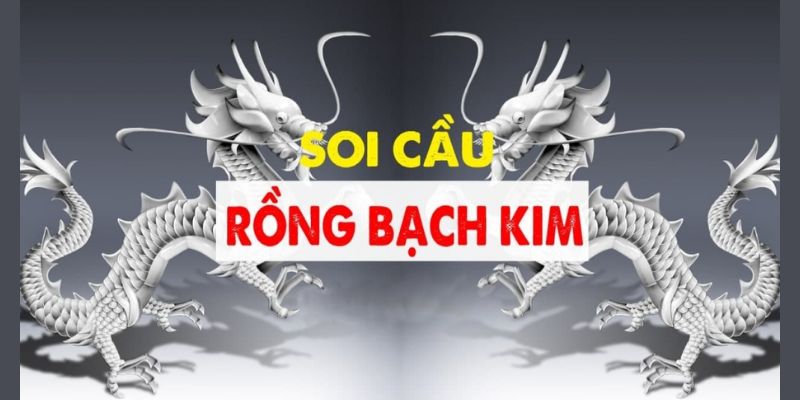 Soi cau rong bach kim